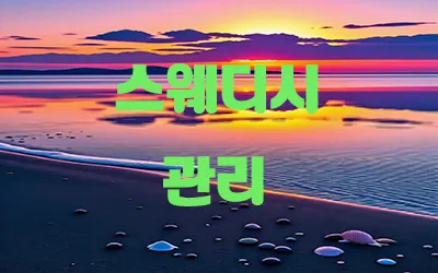 스웨디시_관리.webp